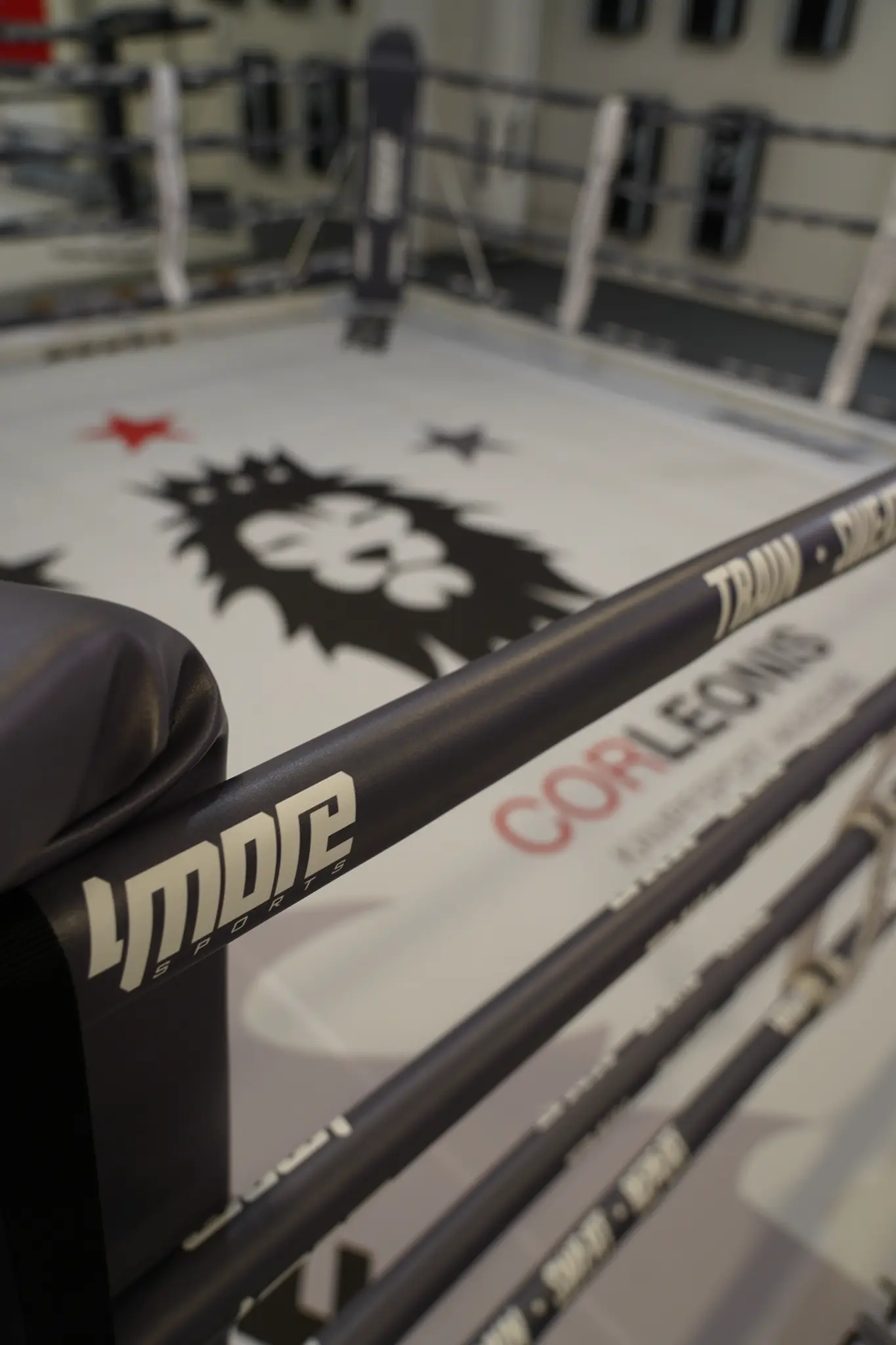 Boxring im CorLeonis Studio Marburg