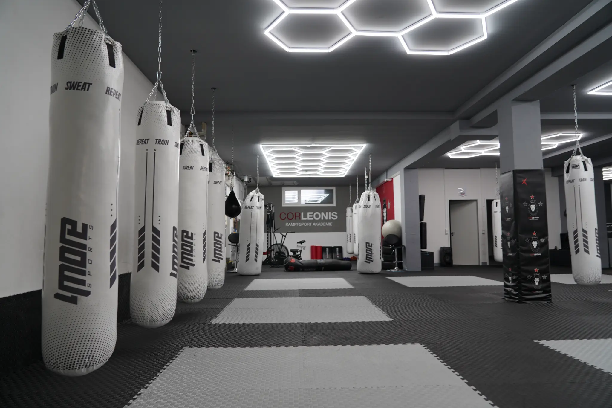 Trainingsfläche der CorLeonis Akademie in Gießen